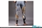 Product Alternate Image